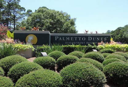 Palmetto Dunes real estate